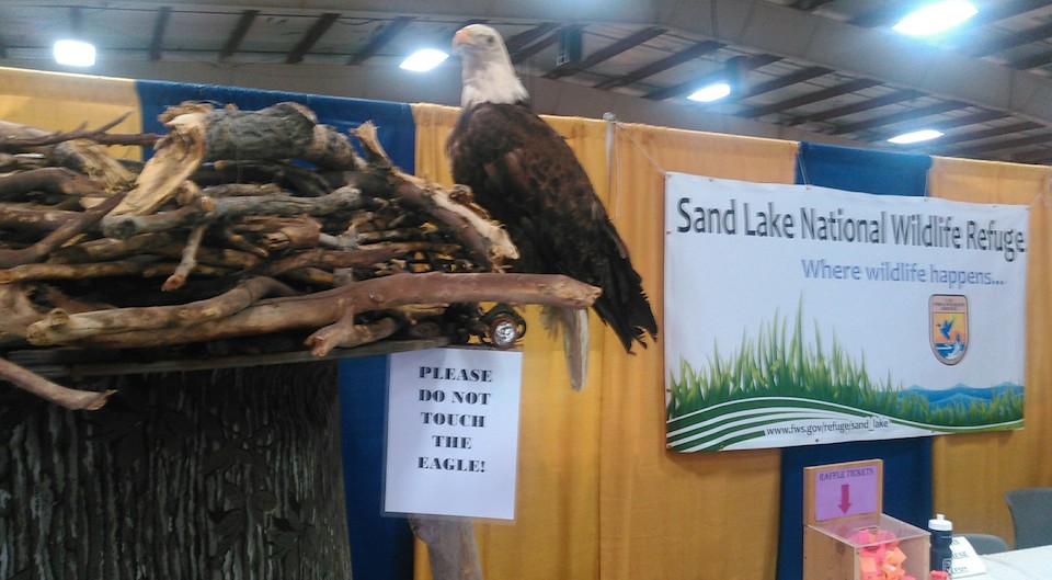 Sand Lake Wildlife Refuge eagle's nest display, Brown County Fair, 2016.08.18.