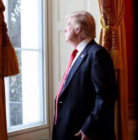 Donald Trump at window