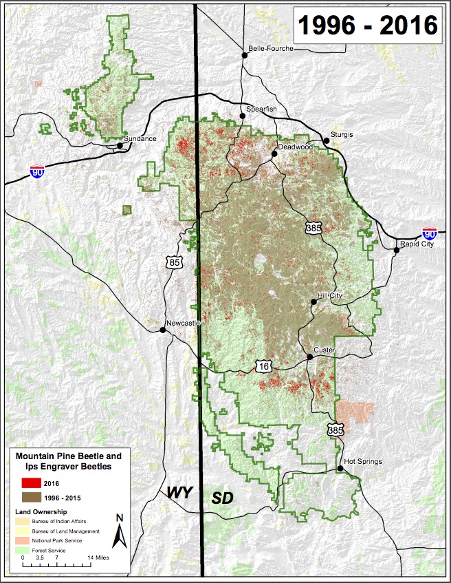 U.S. Forest Service, map of pine beetle activity in Black Hills, 1996–2016. (Click to view original, zoomable PDF map.)