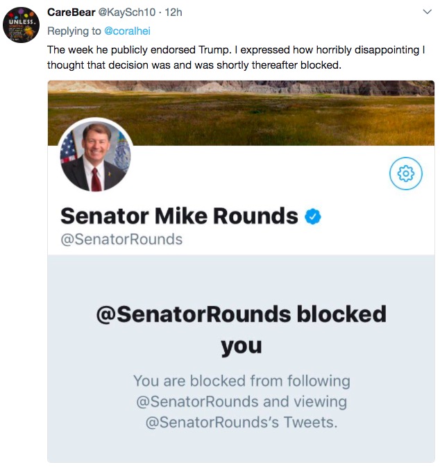 Senator Mike Rounds blocks SD Twitter user, screen cap, 2017.07.30.