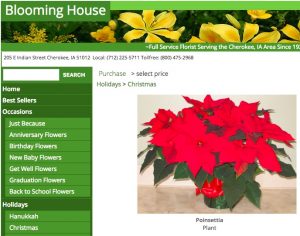 Less than two weeks until Christmas! Order your poinsettias from Iowa before it's too late! [screen cap from BloomingHouse.net, 2017.12.11.]