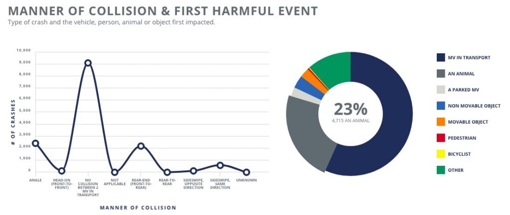 In 23% of car crashes in 2017, the first thing we hit was a critter. Watch out for deer!