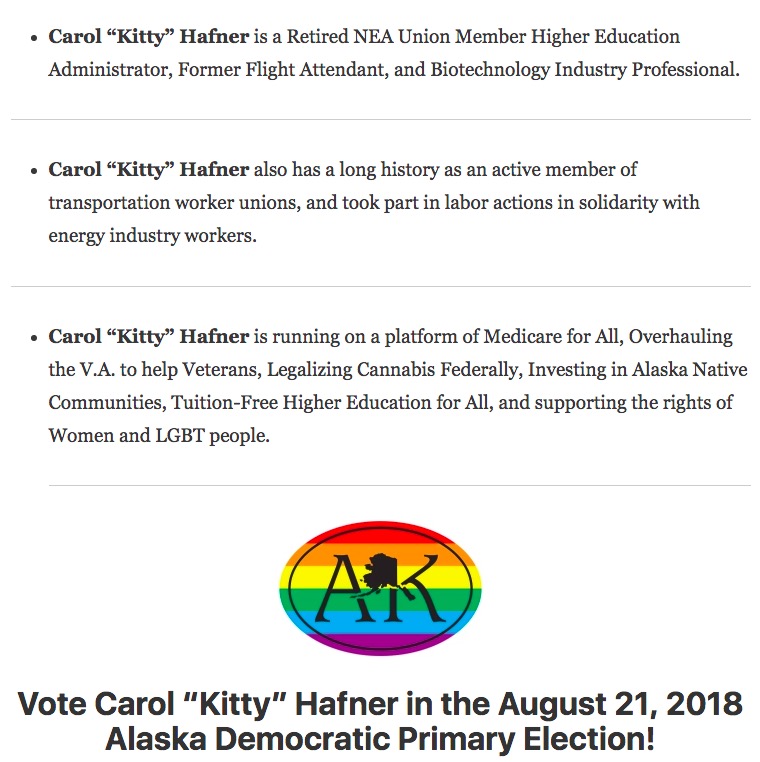 Carol Hafner for Congress, screen cap, 2018.05.28.