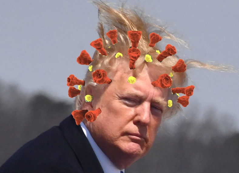2020 finally brought Trump his crown.
