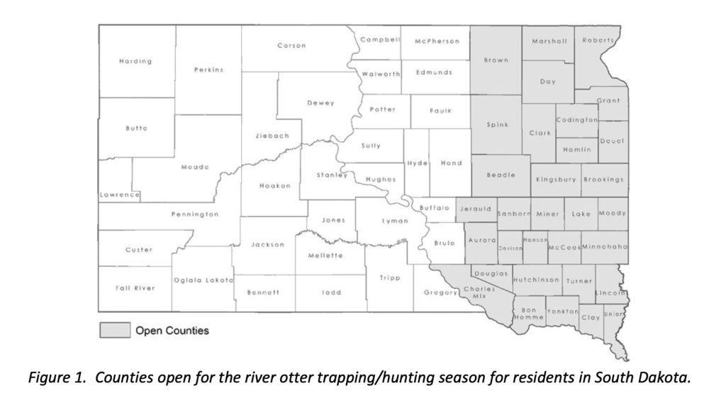 SD counties open for otter slaughter; SD Dept. of Game Fish & Parks, "River Otter Trapping/Hunting Season Frequently Asked Questions 2021," retrieved 2021.11.15.