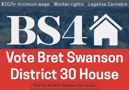 Elect Bret Swanson to District 30 House!