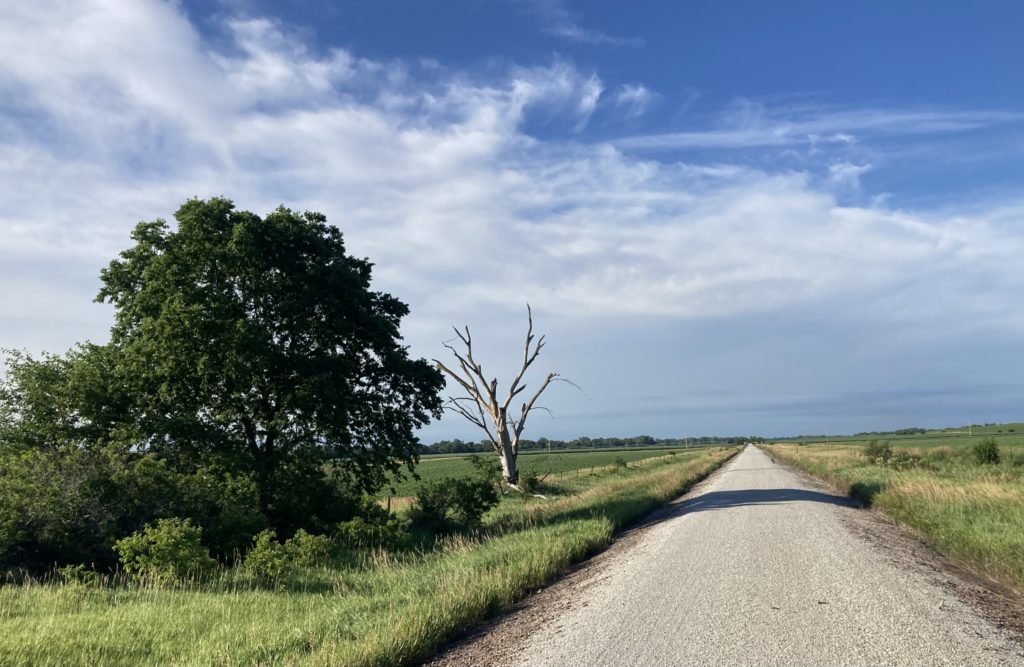The trees give way to an open stretch north of Beatrice. I know the terrain and climate are different, but coming out of the trees here reminds me of coming down the Mickelson Trail into the wide open range at the southern edge of the Black Hills on the way to Edgemont.