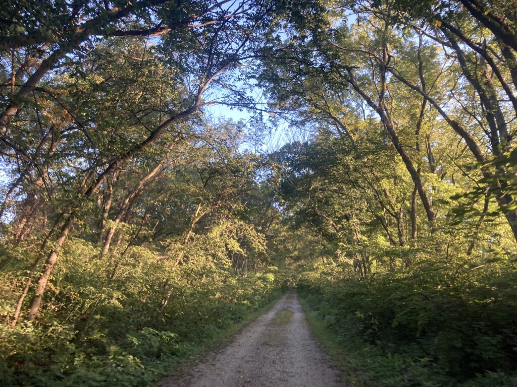 …toward Wabash