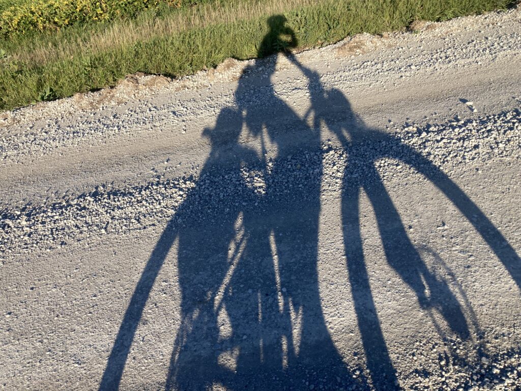Sunshine all day long, ensuring I always have at least one companion.