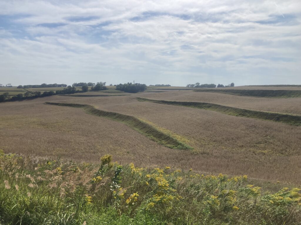 Even with the wind behind me, I had hard riding for the last couple hours over the rolling hills and past terraced fields of rustling corn.
