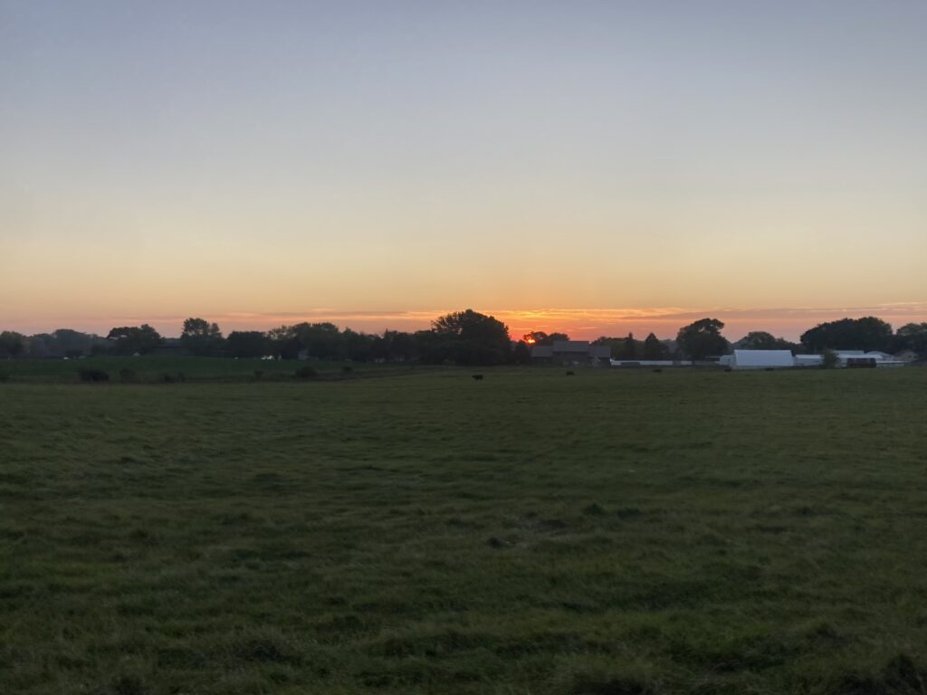 First sun.