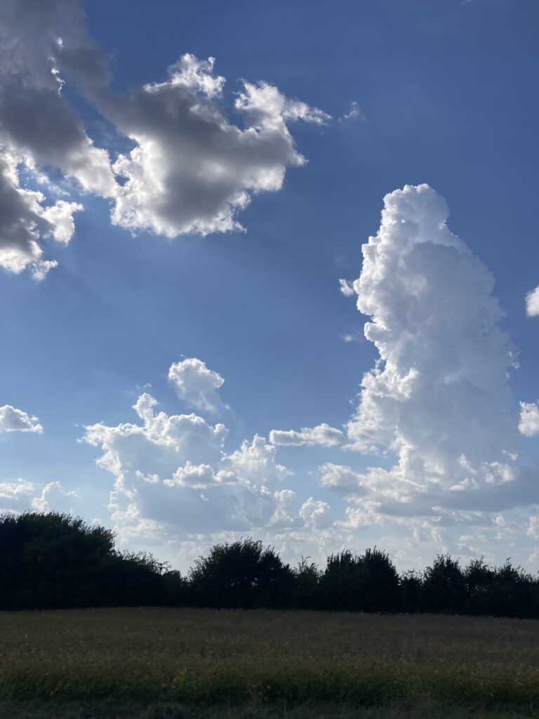 Cumulus blooming, suggesting rain later on, and my wife drove through hard t-storms in Iowa, but for four full days, nothing fell on me but sun and moon shine, with occasional respires of tree and cloud shade.